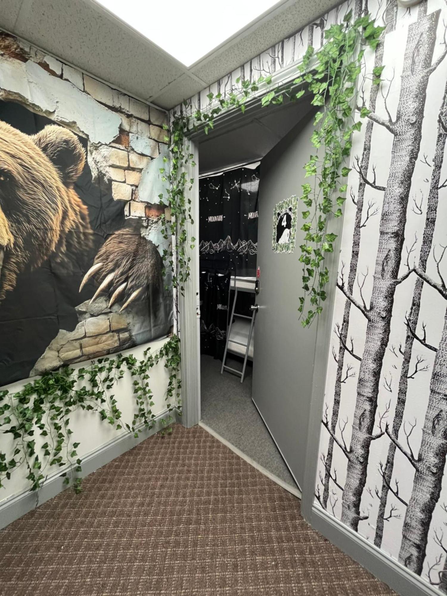 Cozy Bears Bunkers Hostel