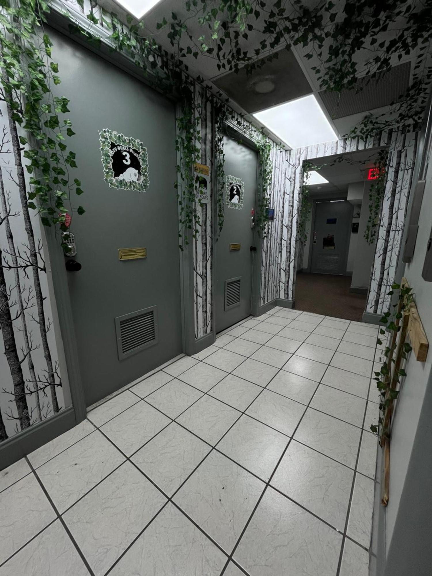 Cozy Bears Bunkers Hostel