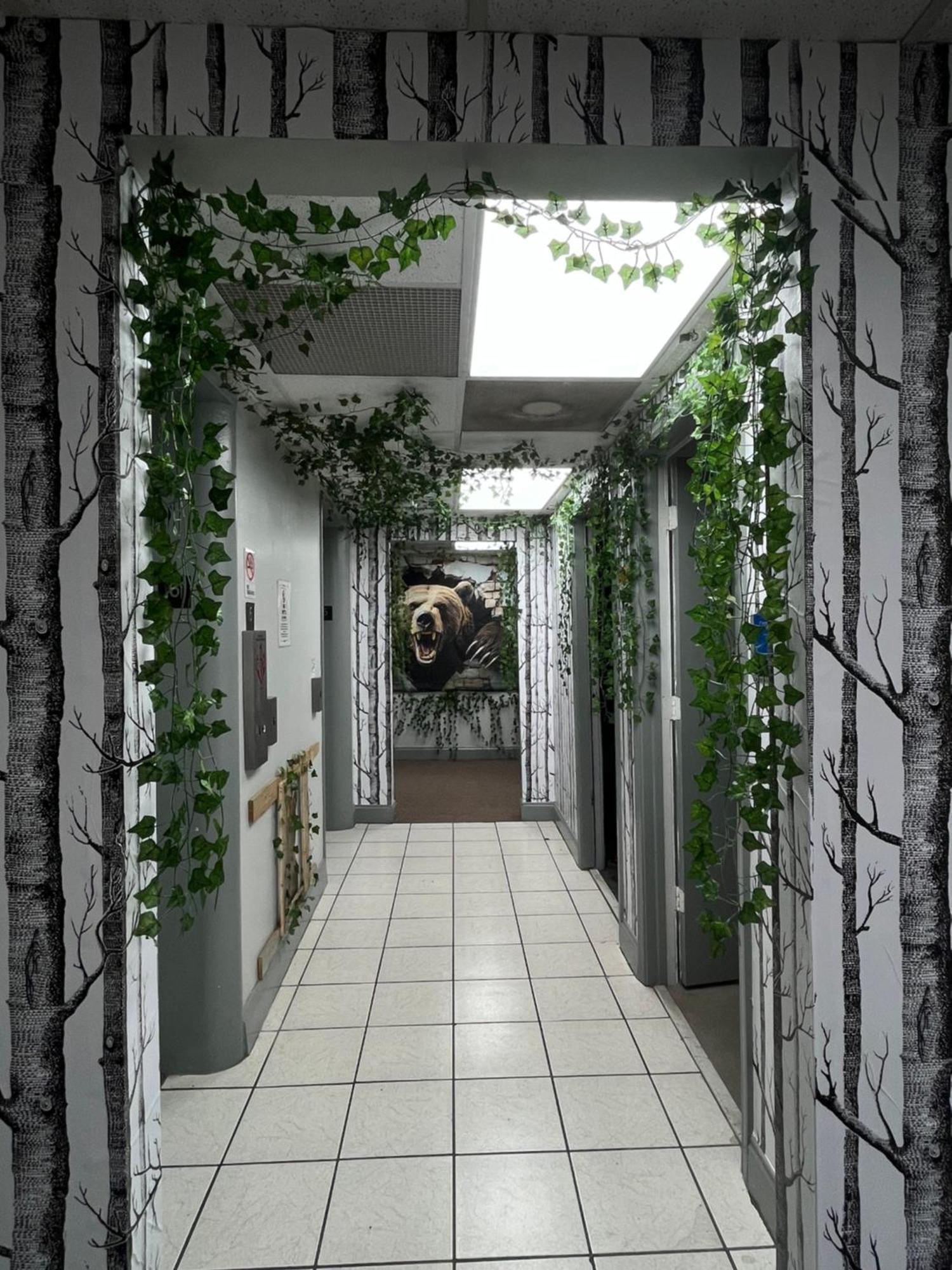 Hostel Cozy Bears Bunkers Memphis