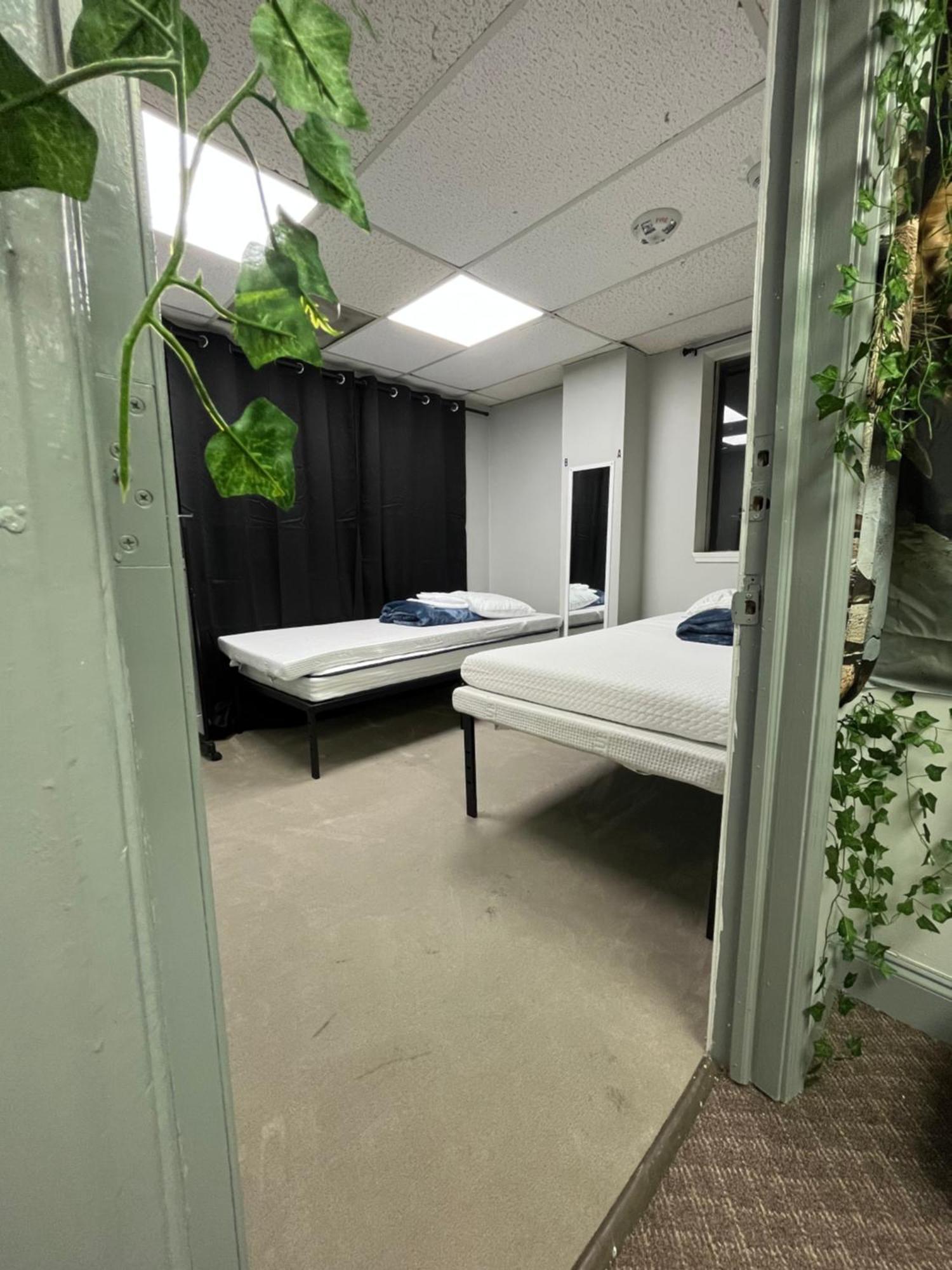 Cozy Bears Bunkers Hostel